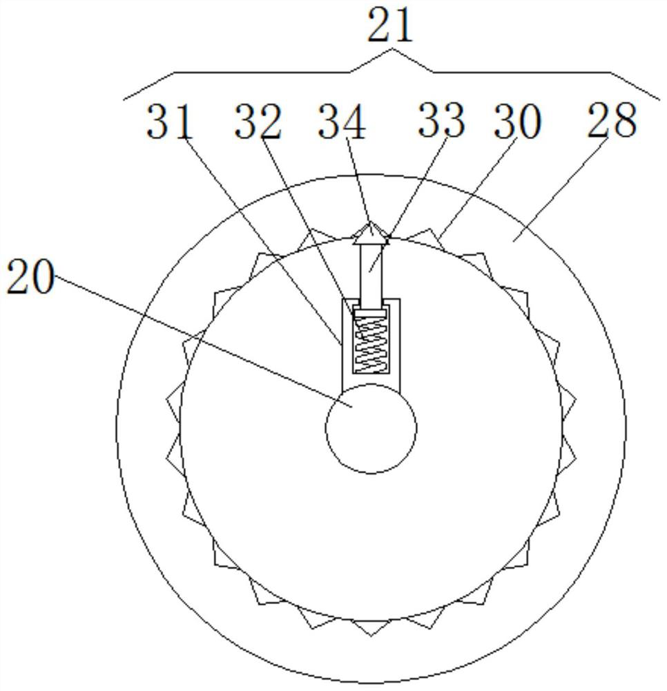 Novel food quick-freezing device