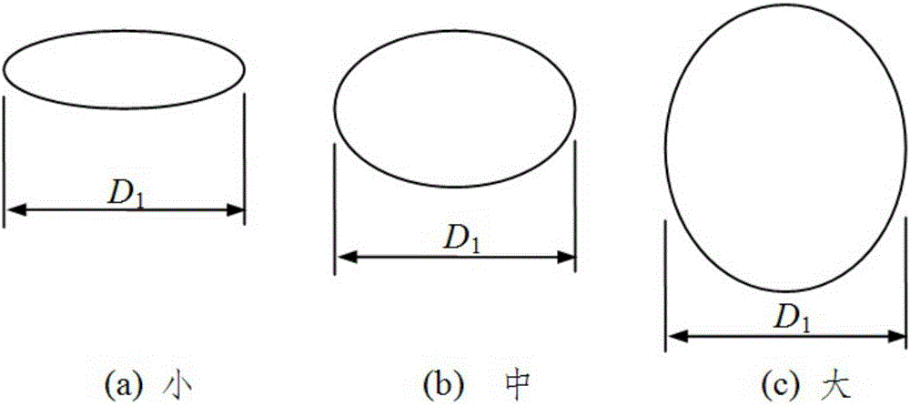 Orange fruit size describing method and organic fruit size grading method