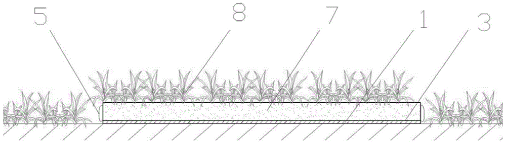 Greening device and greening method for manhole cover with holes