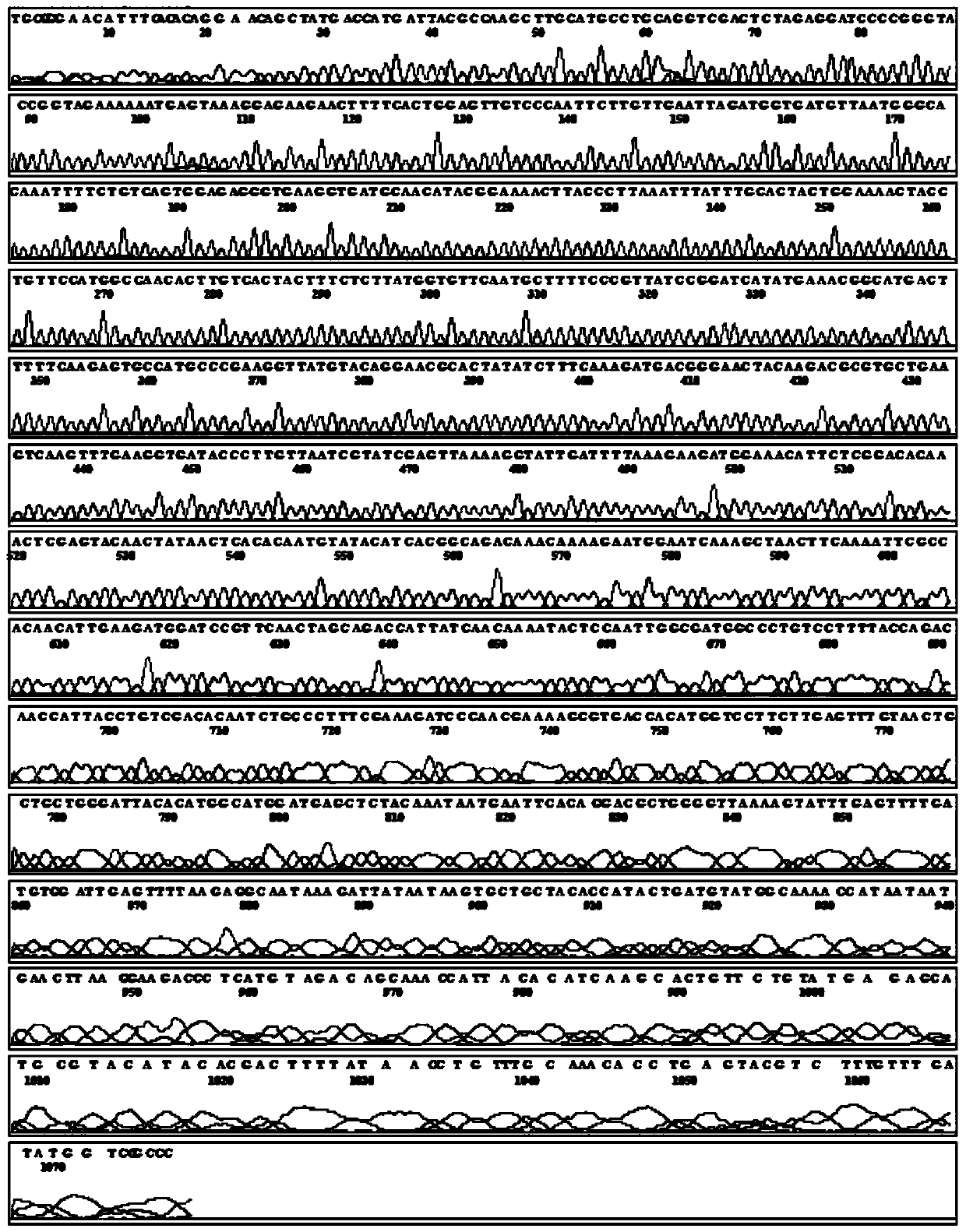 Self-organized Recombinant Hemoglobin of Vitiligo hyaline and Its Gene and Application