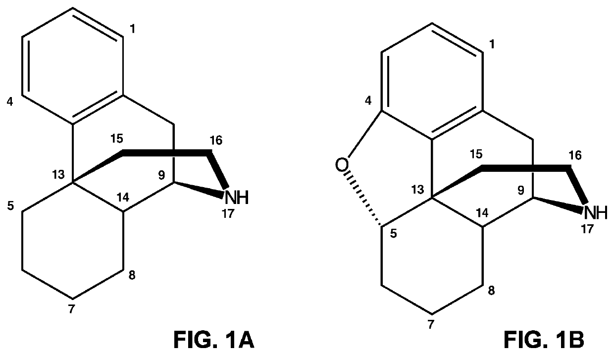 Neopinone isomerase and methods of using