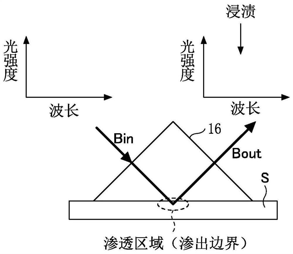 Measurement apparatus and biological information measurement apparatus