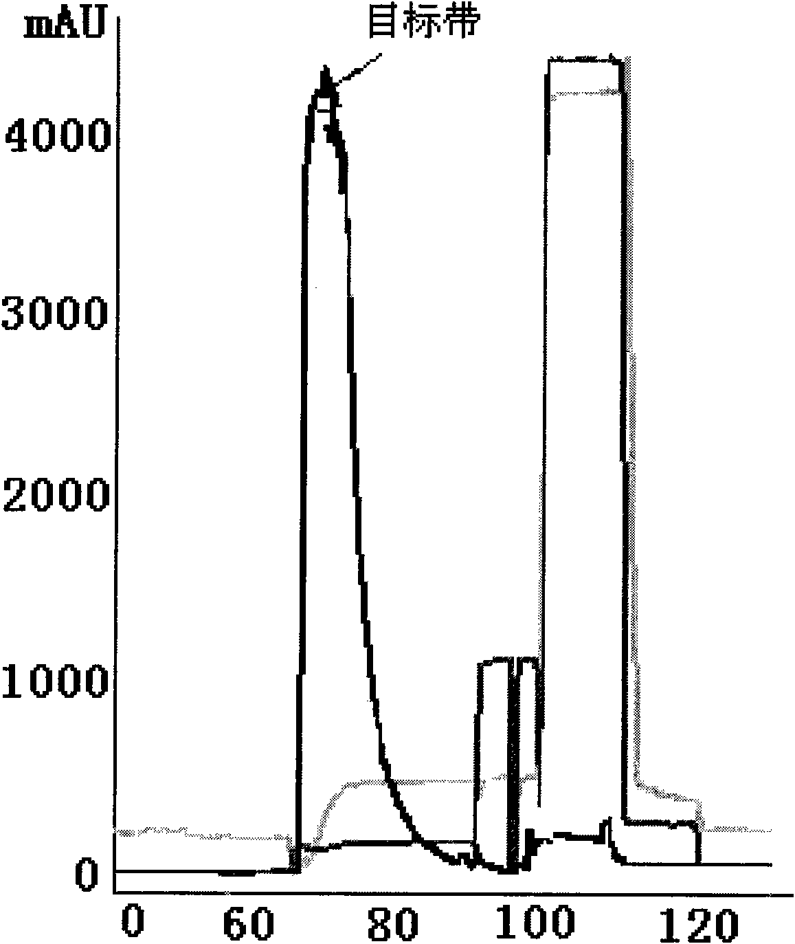 Anti human RANKL monoclonal antibodies developed by PAE technology and uses thereof