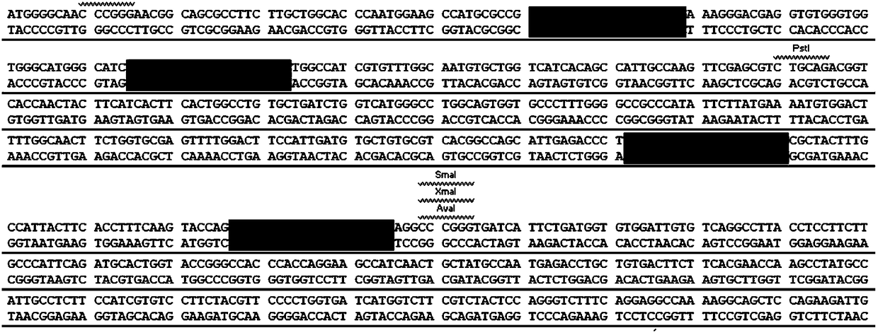 Four sgRNAs designed by aiming at human source ADRB2 genes