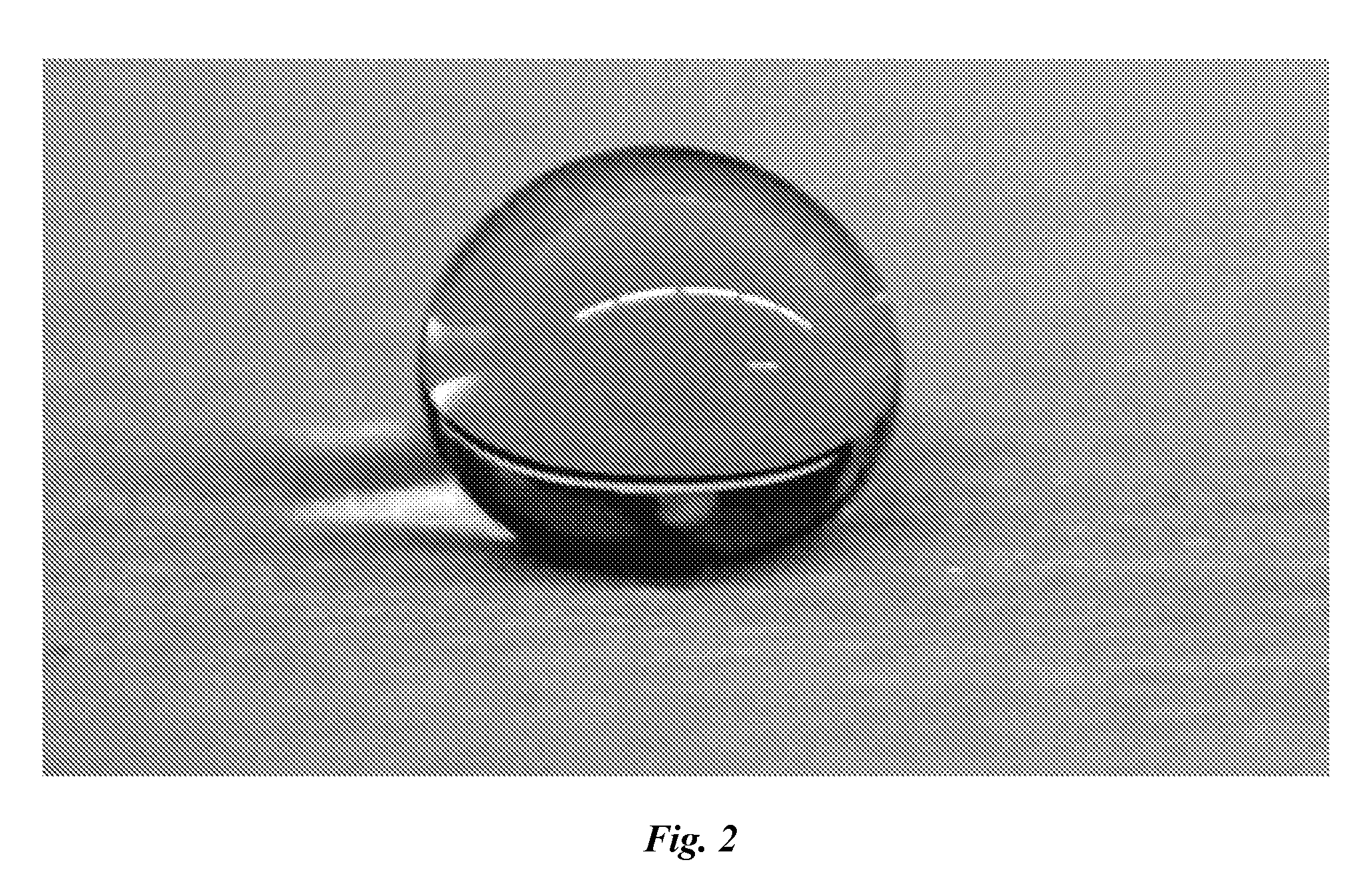 Superhydrophobic diatomaceous earth