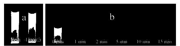 Preparation method of water-based ultraviolet barrier coating based on ZnO quantum dots