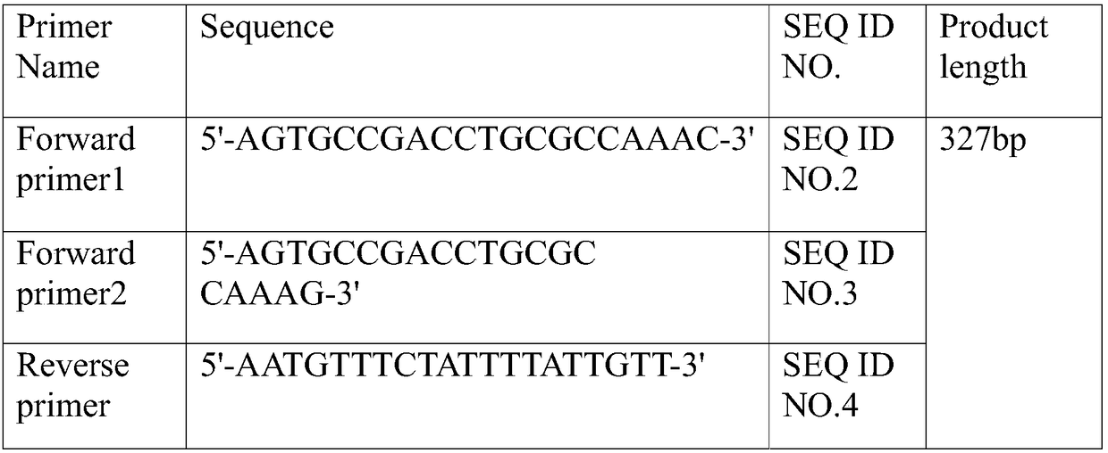 Detecting kit for authenticating cervical cancer susceptibility