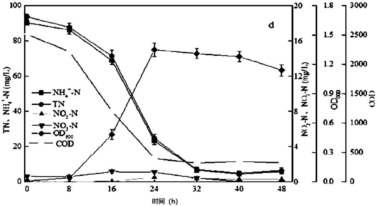 Sphingobacterium multivorum and application thereof