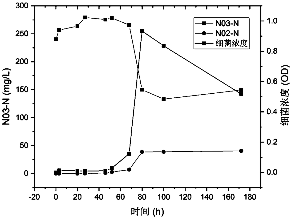 Sphingobacterium multivorum and application thereof