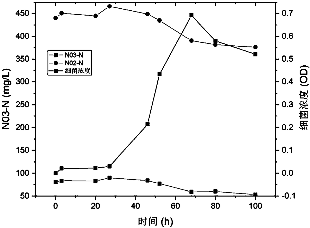 Sphingobacterium multivorum and application thereof