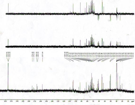 Preparation method and application of physiologically active notoginseng polysaccharide