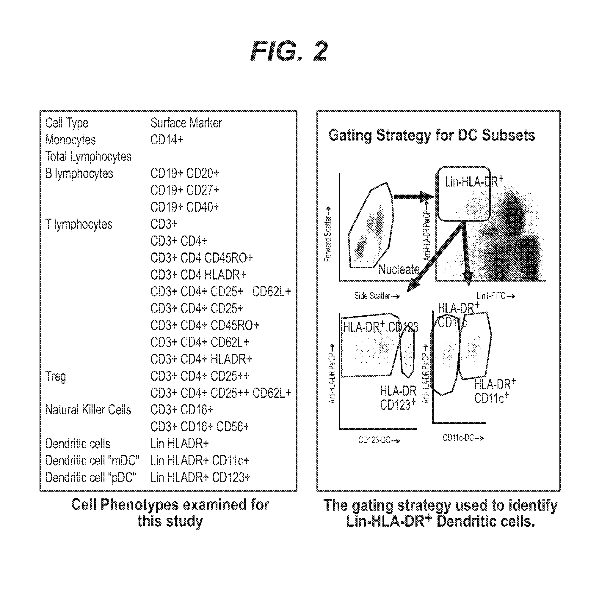 Methods and reagents for detecting susceptibility to graft versus host disease or transplant related mortality