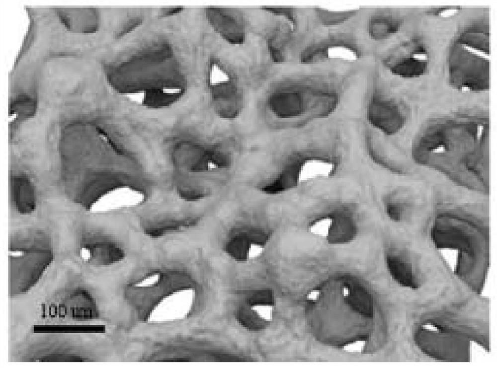 A kind of composite negative electrode material, negative electrode, lithium ion battery and preparation method