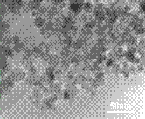 Preparation method for nitrogen and carbon co-doped nanometer titanium dioxide visible-light photocatalyst