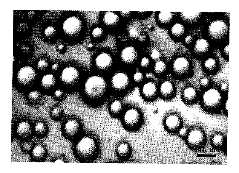 Lornoxicam microsphere and preparation method thereof