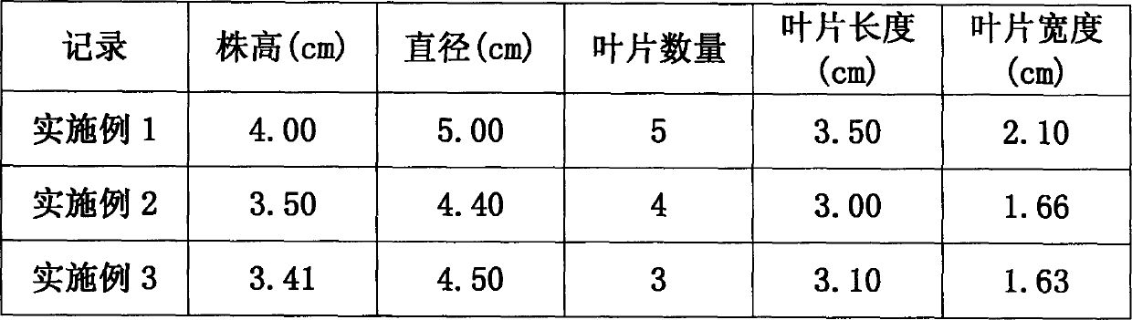 Water planting nutrient liquor for green vegetables