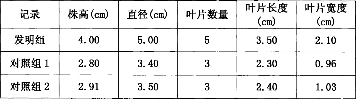 Water planting nutrient liquor for green vegetables