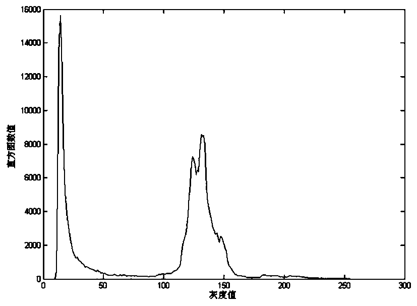 A Fiber Image Processing Method Based on Nonuniformity Correction