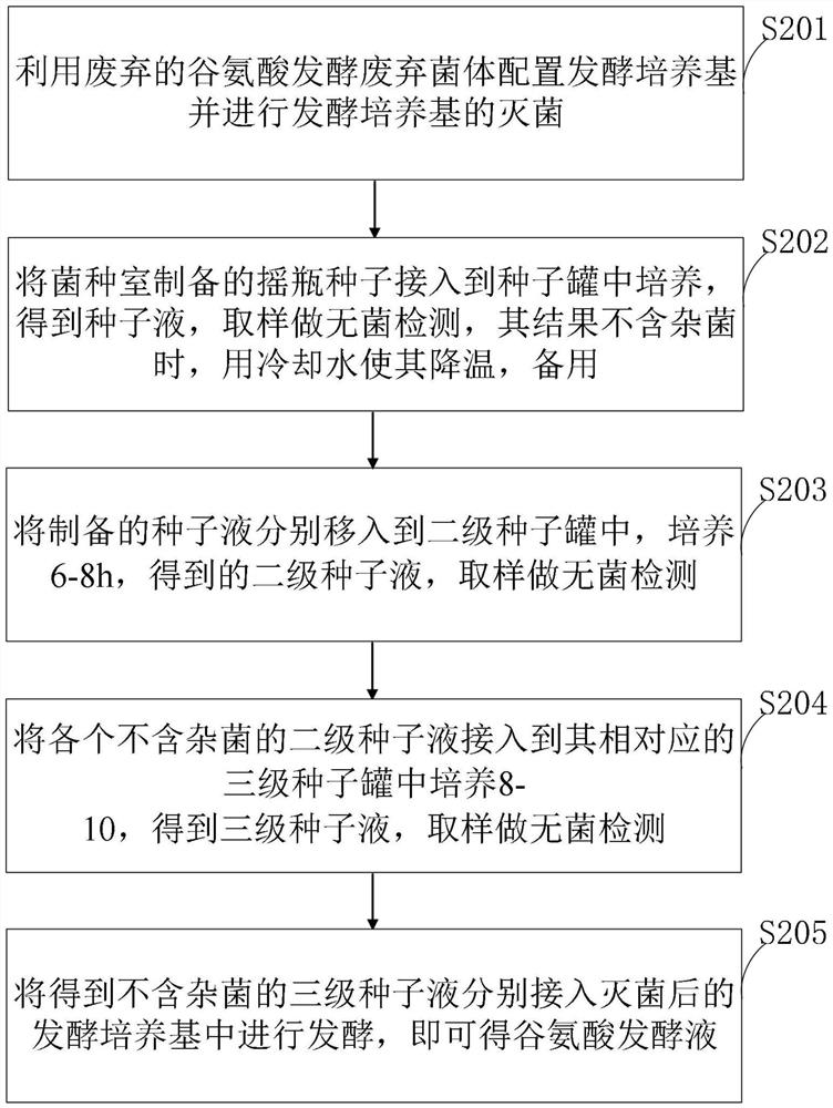 Glutamic acid fermentation method for improving utilization rate of thallus