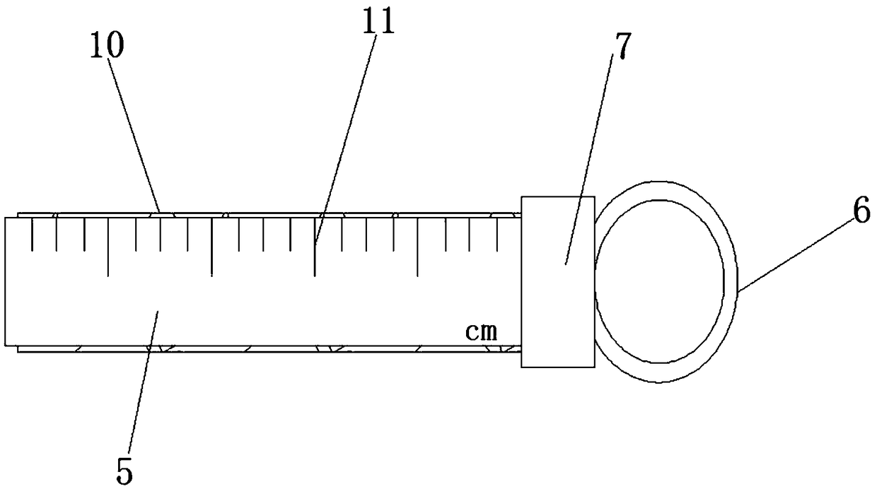 First-aid ruler for infants