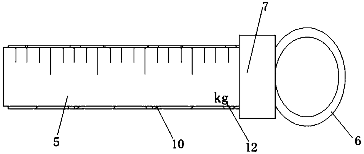 First-aid ruler for infants