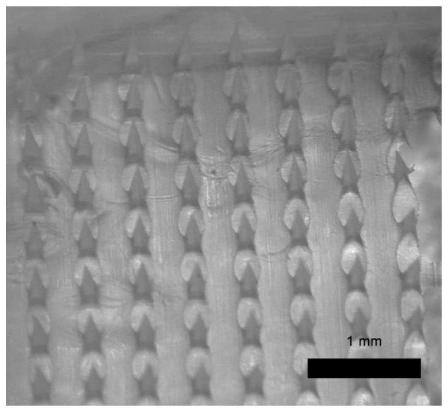 A method for preparing porous polymer microneedles and its application