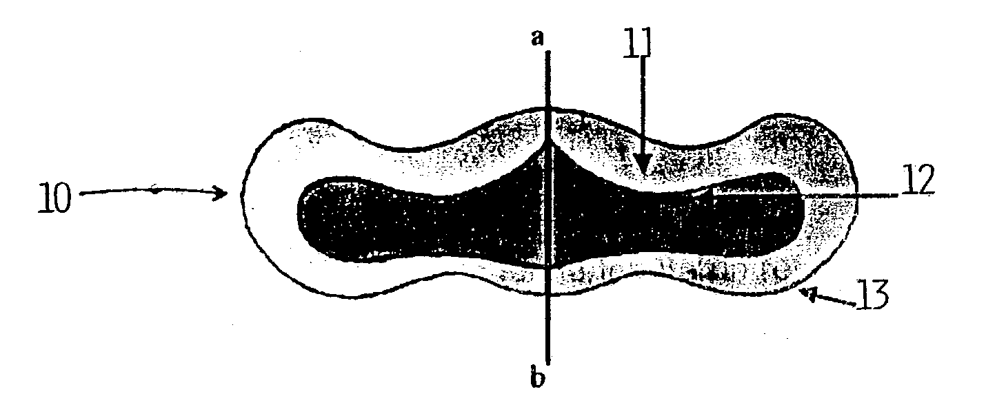 Anatomical compression pad system