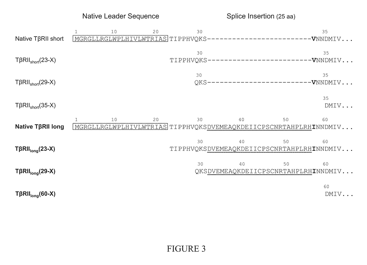 Methods for treating Janus kinase-associated disorders by administering soluble transforming growth factor beta type II receptor