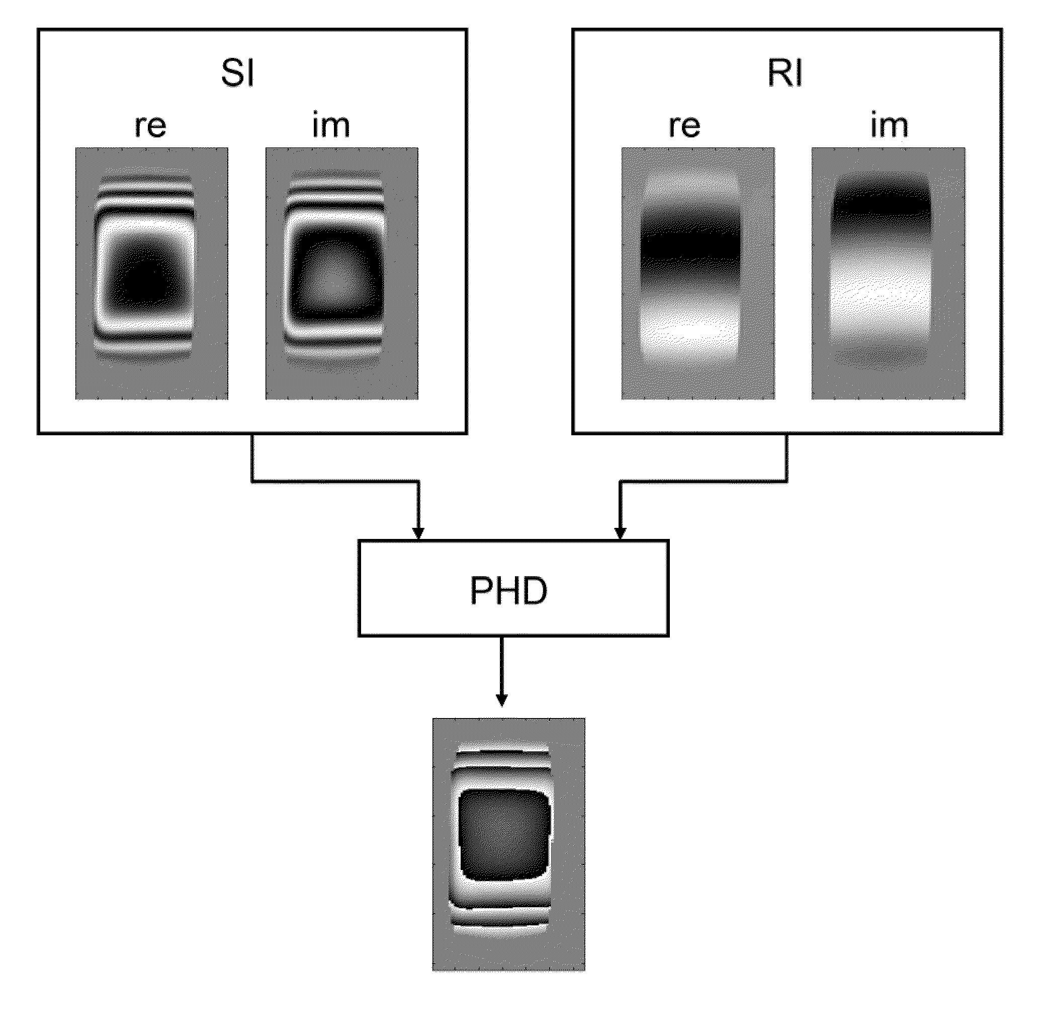 Method for mapping of the radio frequency field amplitude in a magnetic resonance imaging system using adiabatic excitation pulses