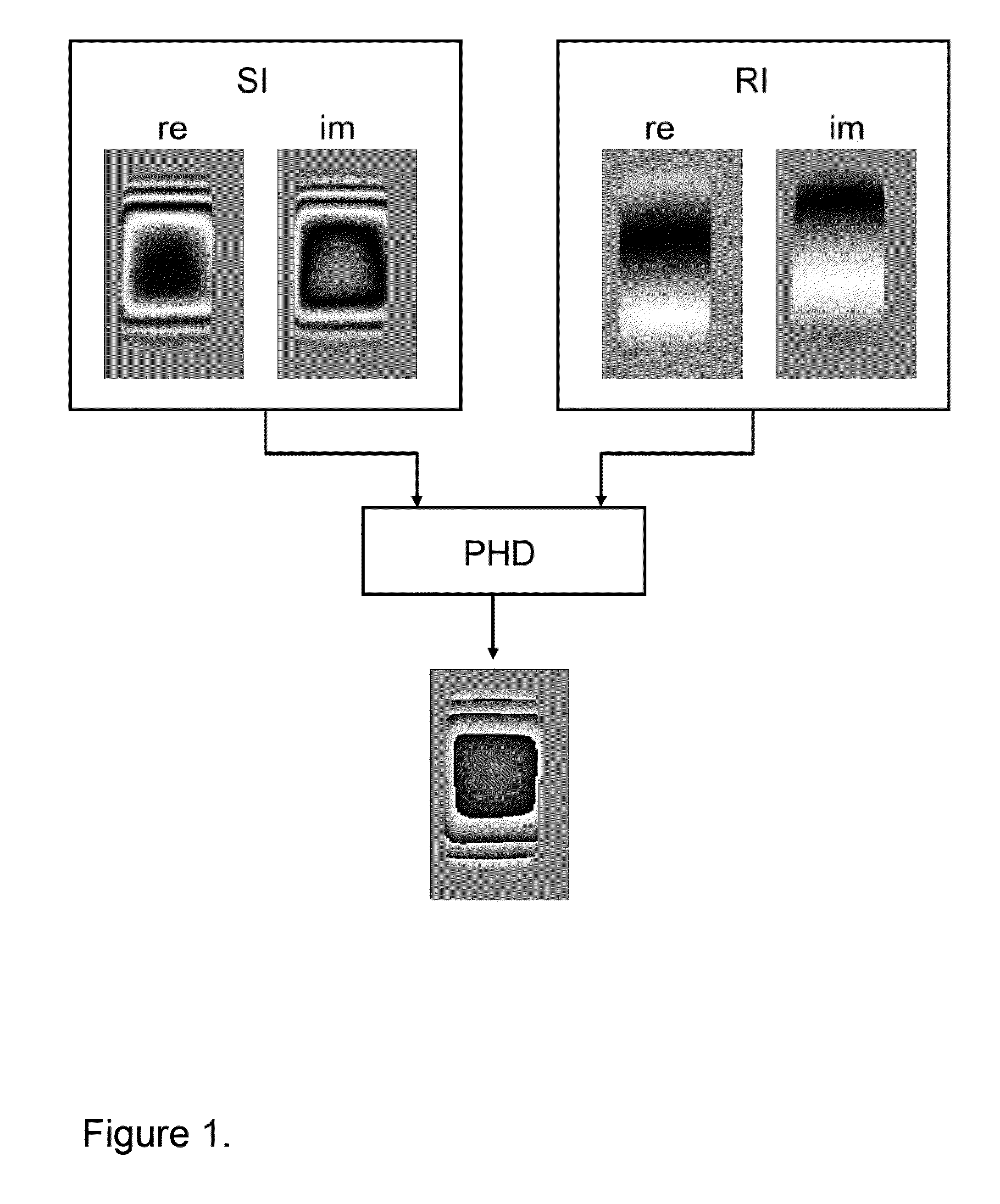 Method for mapping of the radio frequency field amplitude in a magnetic resonance imaging system using adiabatic excitation pulses