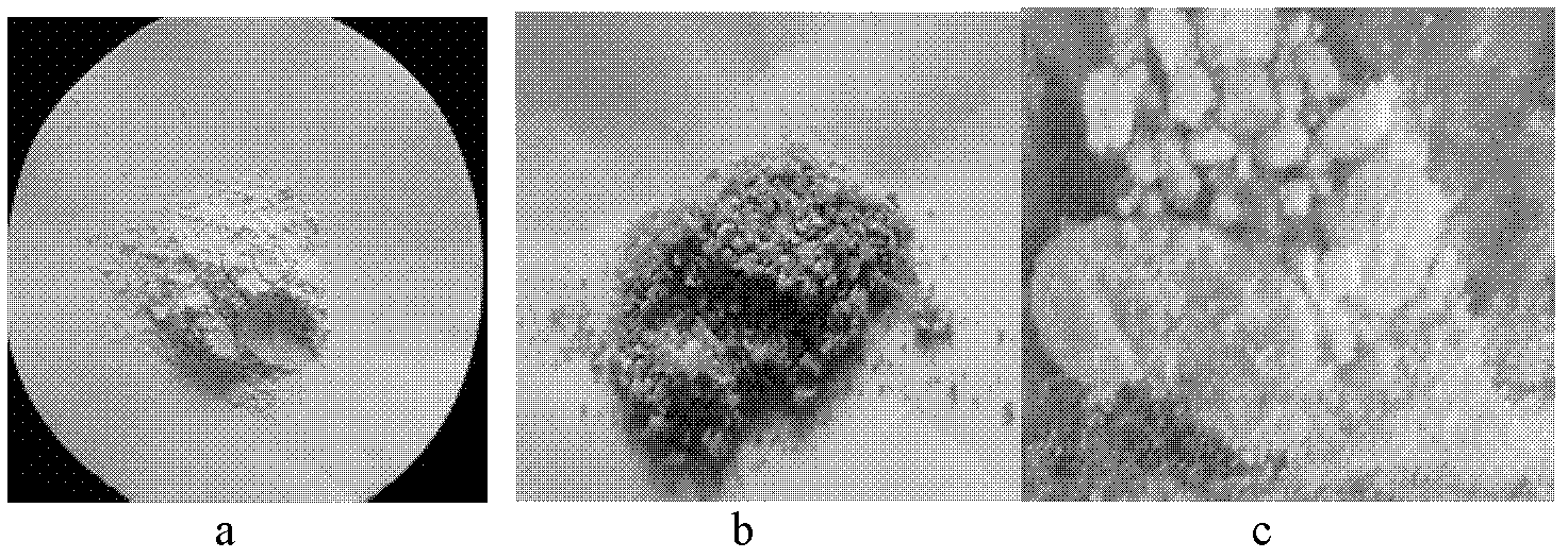 O-salicylic acid esterified oligo-chitosan salicylaldehyde Schiff base bacteriostatic agent and preparation method thereof