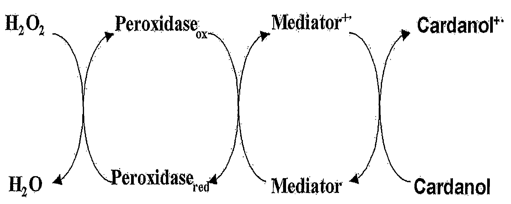 Process for preparing phenolic polymer by using phenothiazines mediator