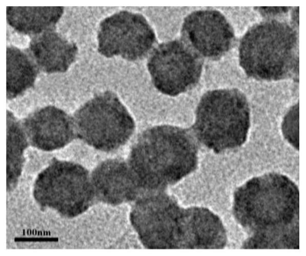 Aniline trimer modified sulfonate water-based epoxy curing agent and preparation method thereof