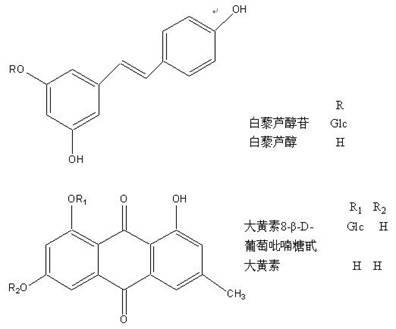 Method for separating and purifying monomer compounds from Rhizoma Polygoni Cuspidati