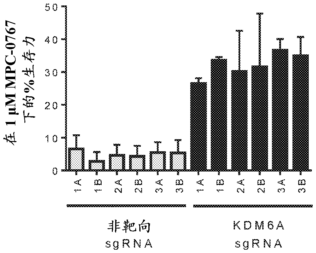 Therapeutic methods relating to hsp90 inhbitors