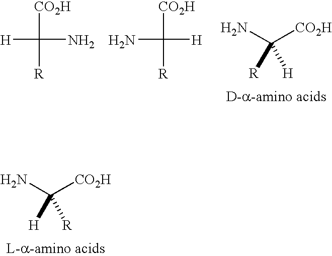 Compositions and uses of motor protein-binding moieties