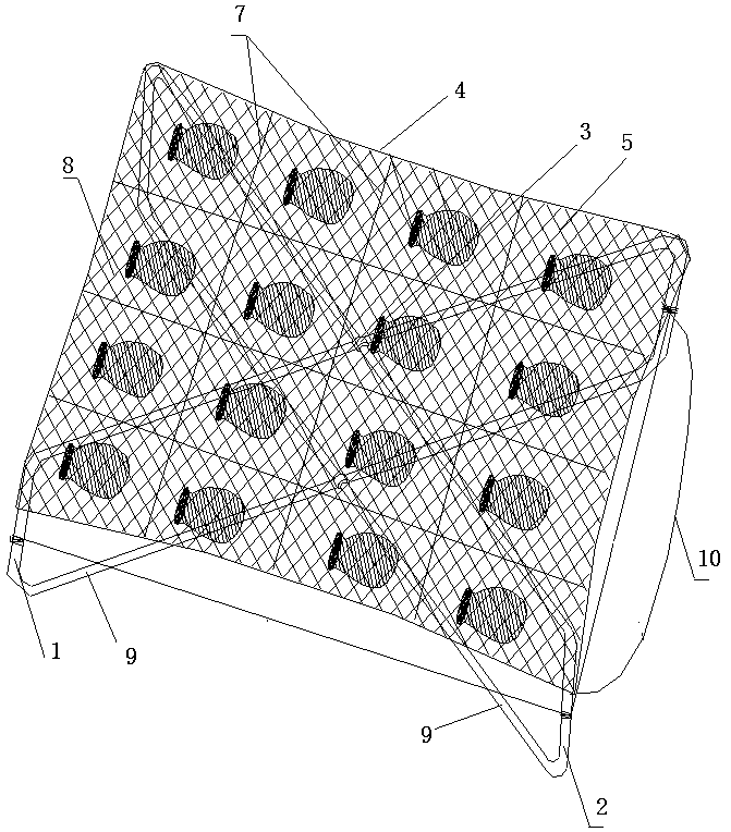 Sea water pearl shell overwintering hanging cage and cultivation method