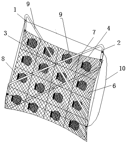 Sea water pearl shell overwintering hanging cage and cultivation method