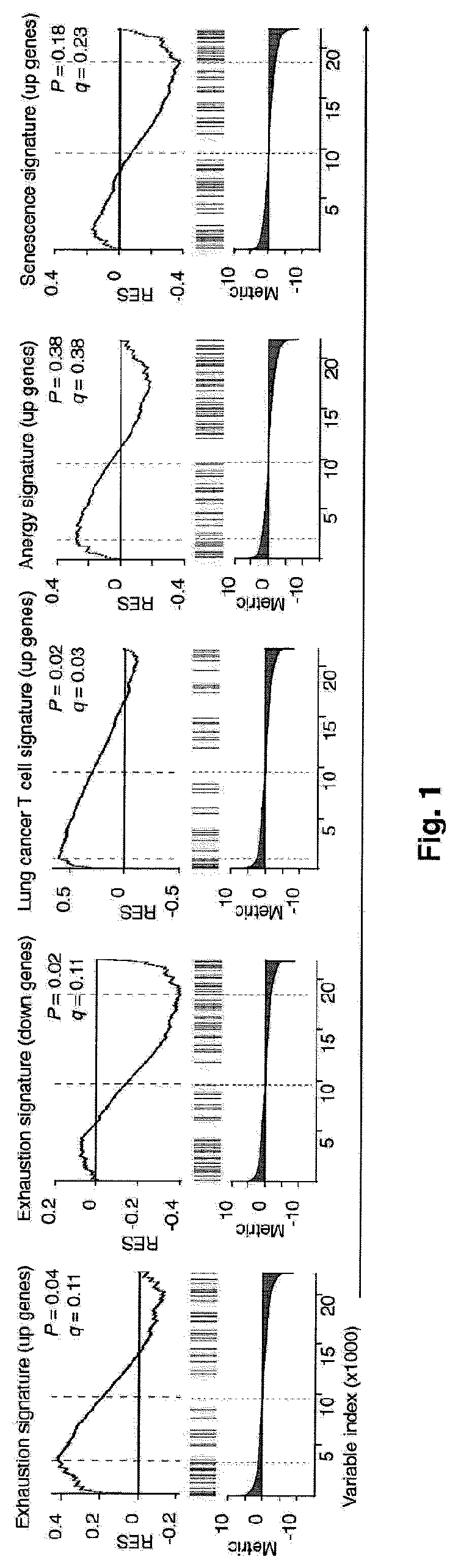 Compositions for cancer treatment and methods and uses for cancer treatment and prognosis