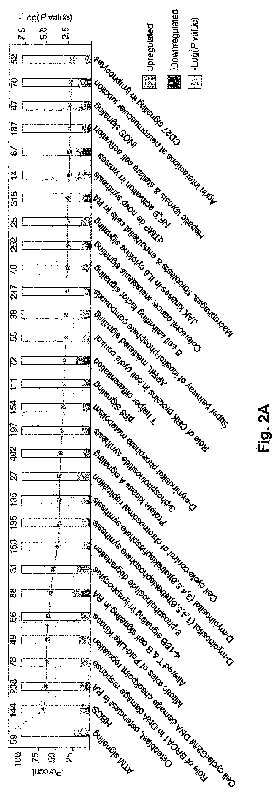 Compositions for cancer treatment and methods and uses for cancer treatment and prognosis