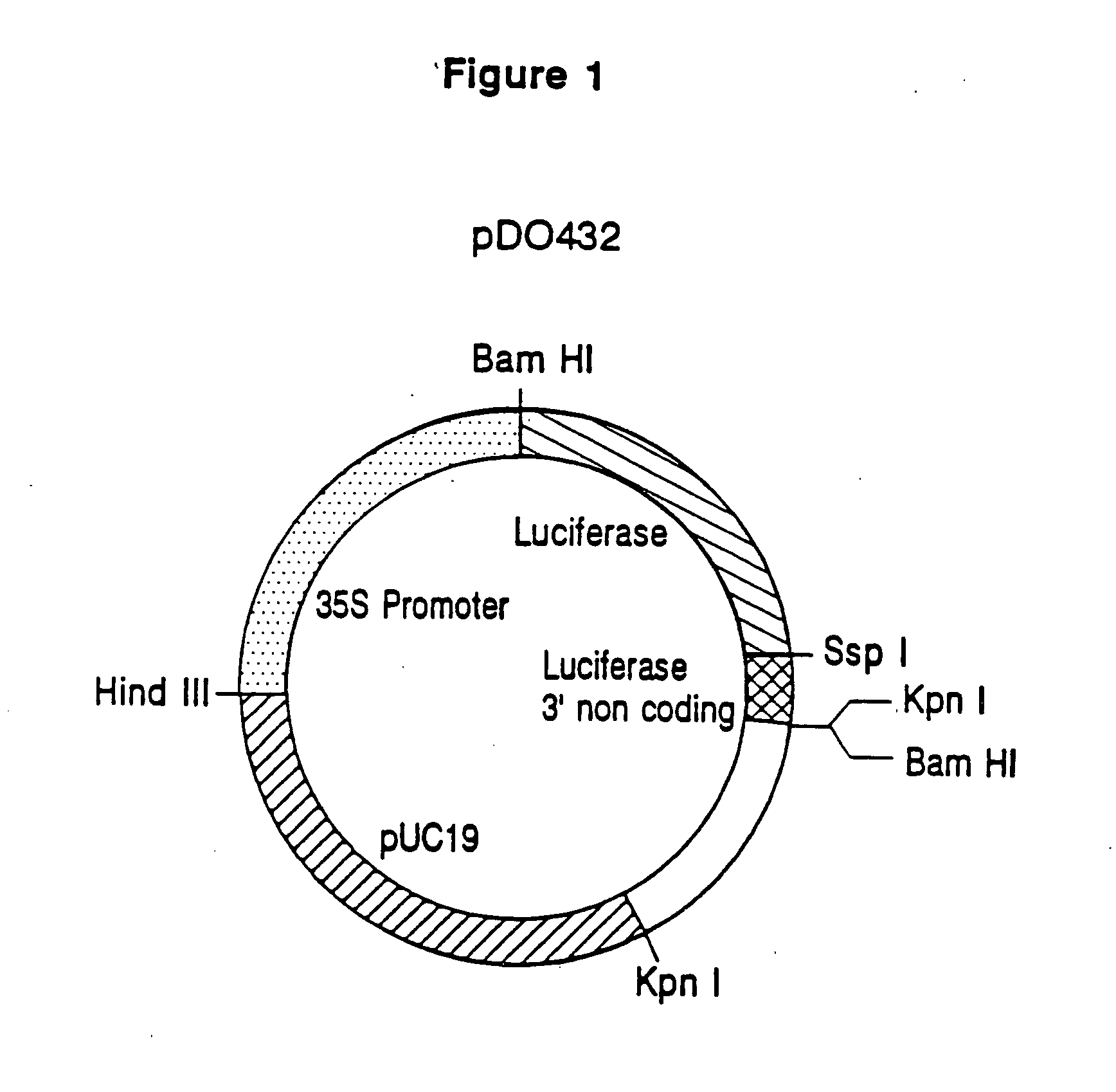 Methods of discovering chemicals capable of functioning as gene expression modulators