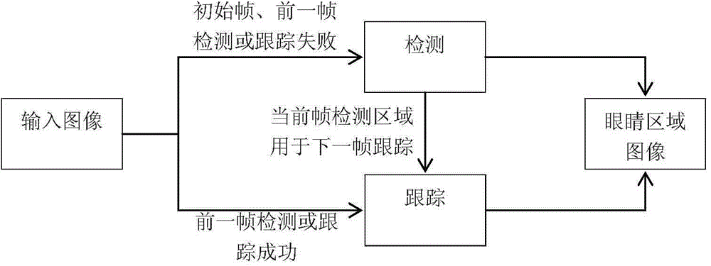 Standardized eye image based eye gaze tracking system and method