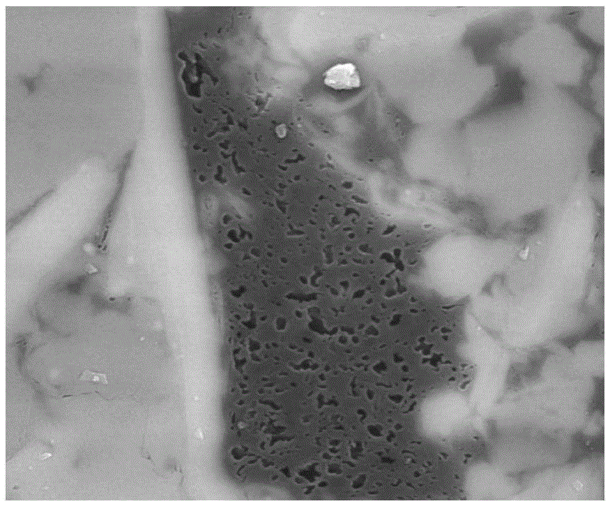 Method for improving permeability of shale base blocks rich in organic matters