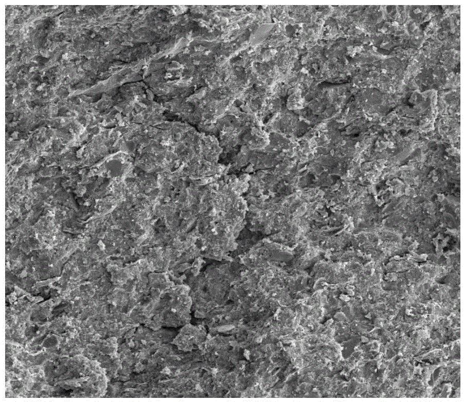 Method for improving permeability of shale base blocks rich in organic matters