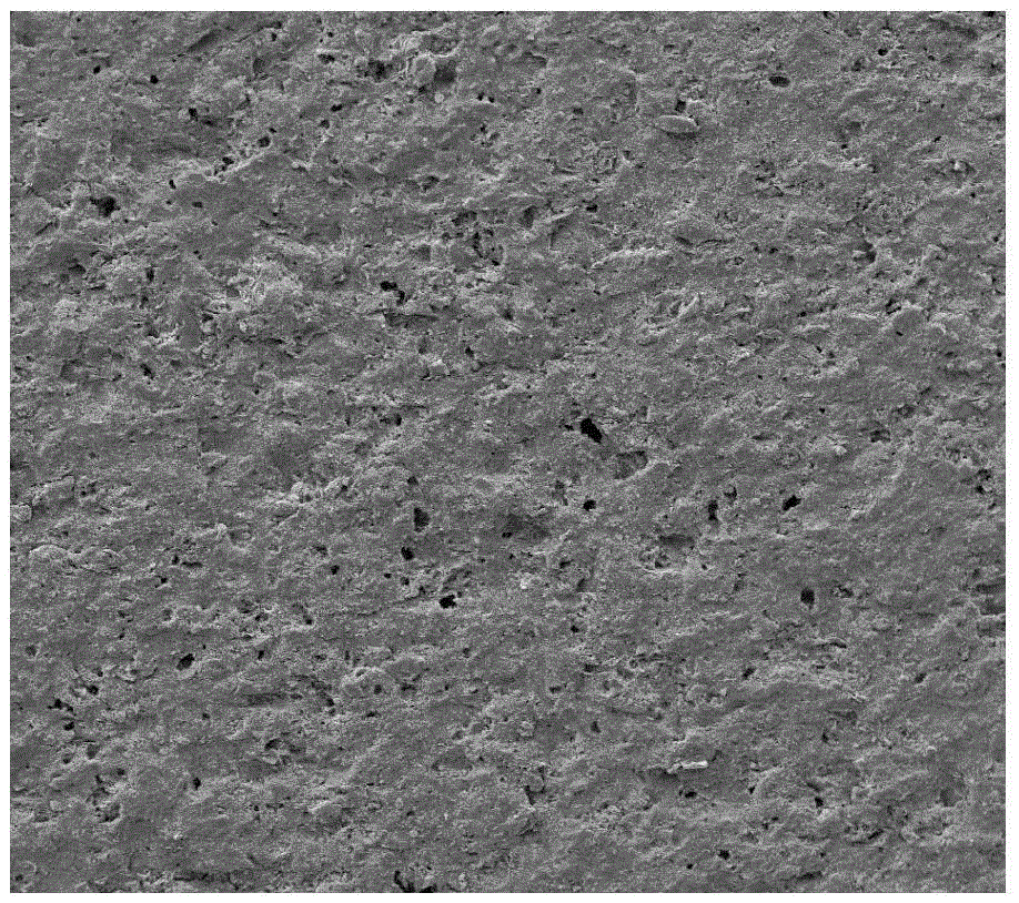 Method for improving permeability of shale base blocks rich in organic matters