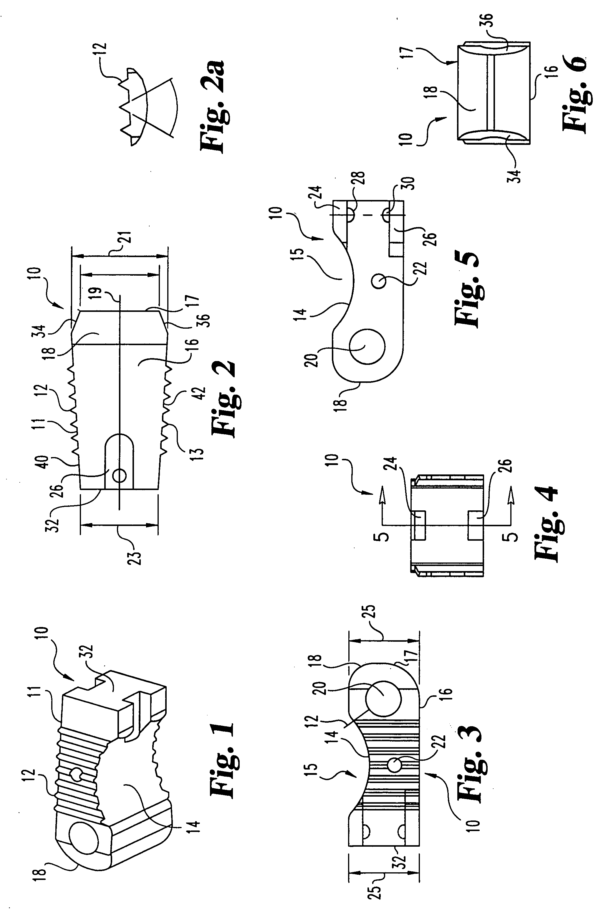 Interbody fusion grafts and instrumentation