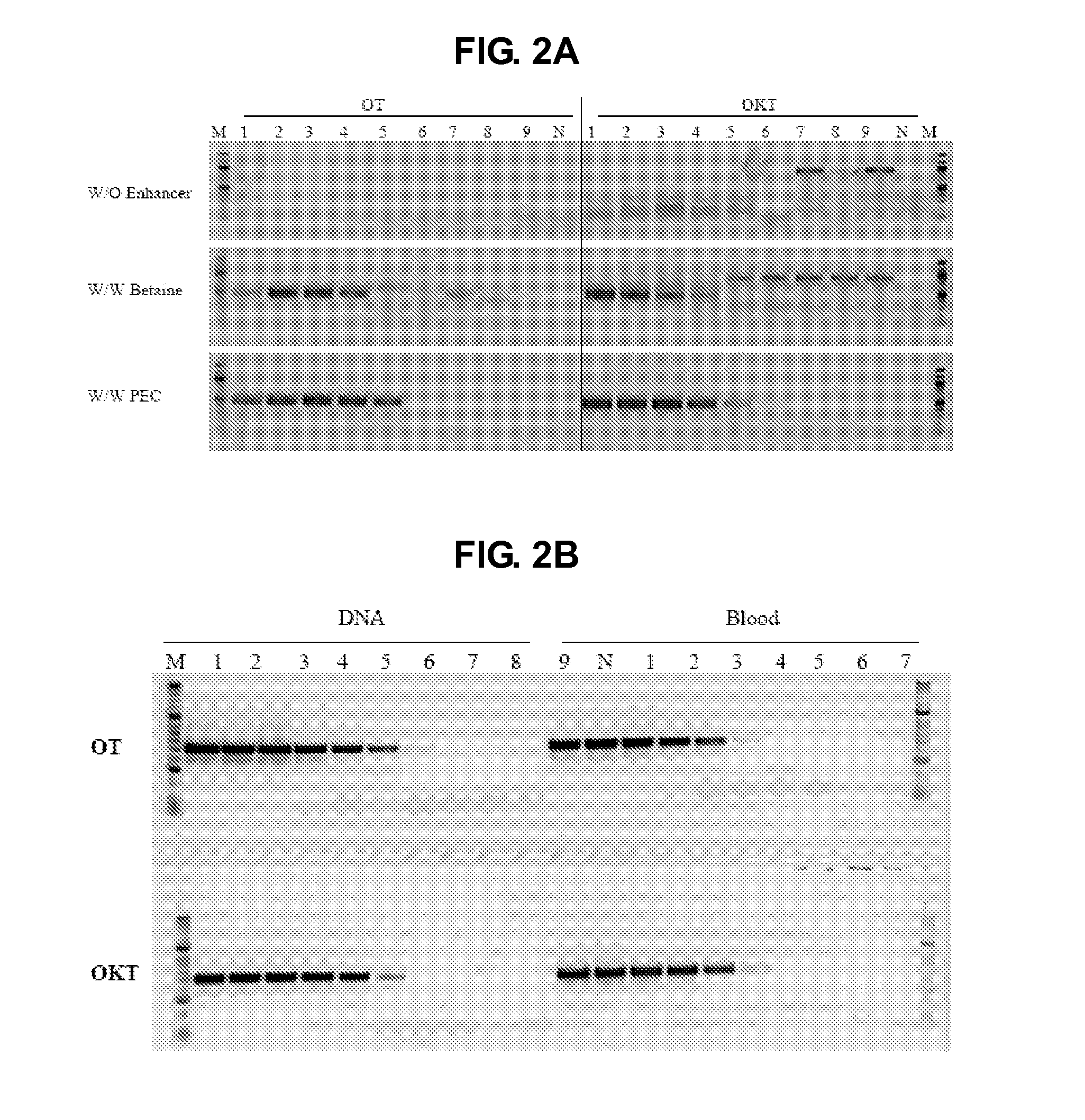 Compositions for improving gene amplification