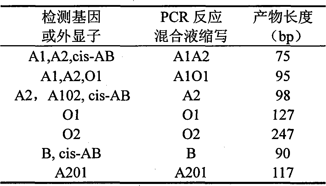 Detection agent for ABO blood type gene and shaping method