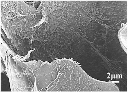 Silk fibroin three-dimensional porous scaffold and preparation method thereof