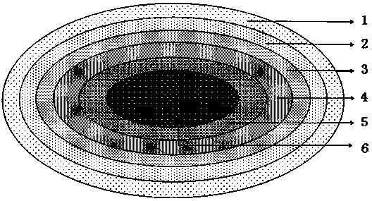 Stone paper functional master batch with multilayer coating core shell structure and preparation method of stone paper functional master batch